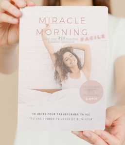GUIDE PRATIQUE MIRACLE MORNING FACILE