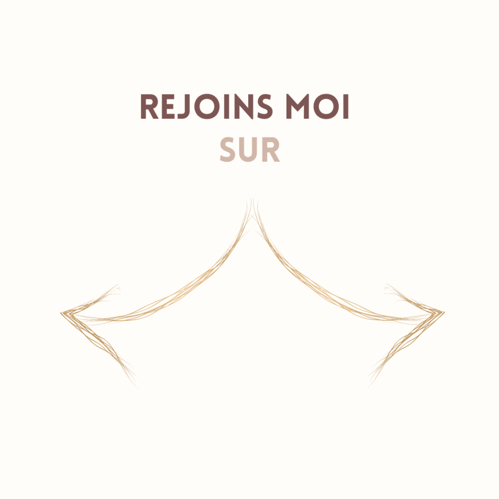 choix insta et chaine youtube sandra recolin